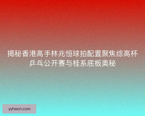 揭秘香港高手林兆恒球拍配置聚焦综高杯乒乓公开赛与桂系底板奥秘
